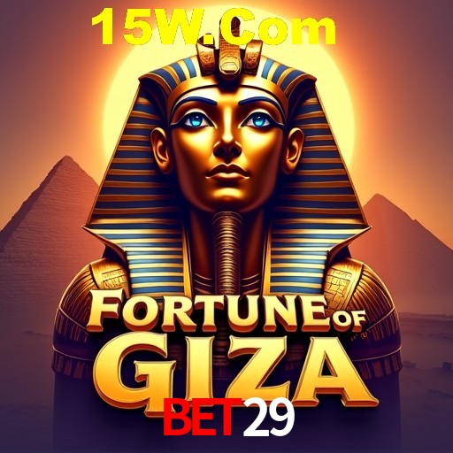 Bet29 Rio de Janeiro - Bonus Terms
